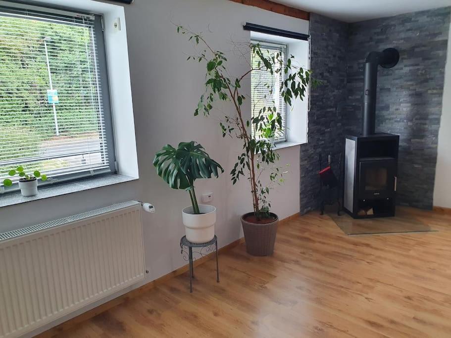 Kornhaus - Schoene Ferienwohnung Mit Pool, Kamin Und Terrasse 哥廷根 外观 照片